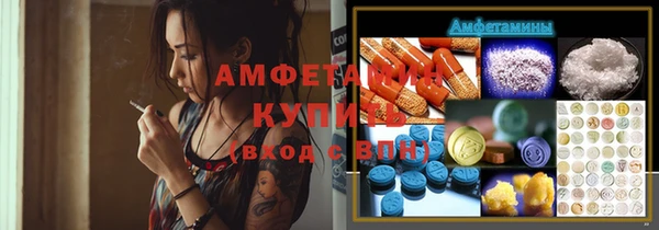 твердый Бородино