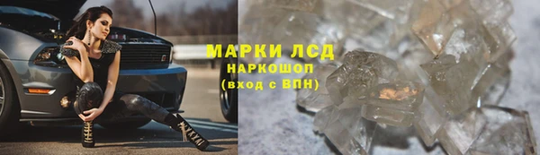 ПСИЛОЦИБИНОВЫЕ ГРИБЫ Верхнеуральск