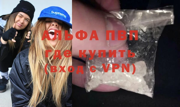 твердый Бородино