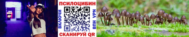 Галлюциногенные грибы Magic Shrooms  Купить закладки  Микунь 